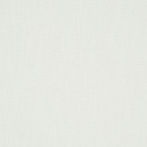 Dean Indoor/Outdoor Ivory 81122 by Schumacher Fabric