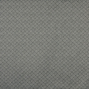 6760 Onyx/Metro by Charlotte Fabric