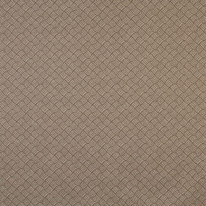 6764 Acorn/Metro by Charlotte Fabric