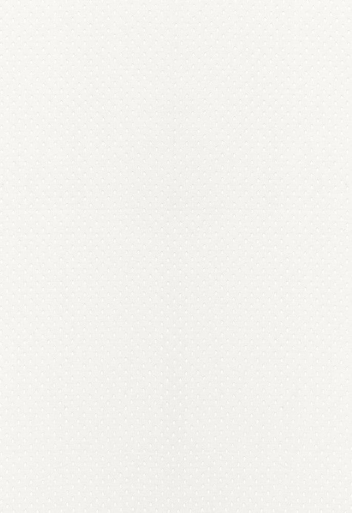 Donatello Sheer Ivory 67670 by Schumacher Designer Fabric Firenze-Sheers 100% Linen - Horizontal: 1/4- and Vertical: 5/8- 54 - Swanky Fabrics -