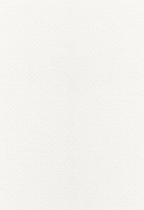 Donatello Sheer Ivory 67670 by Schumacher Fabric
