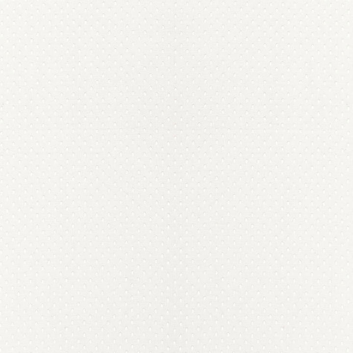 Donatello Sheer Ivory 67670 by Schumacher Fabric FIRENZE / SHEERS LINEN 100% INDIA </p><p>Repeat: Horizontal: 1/4" (1CM) and Vertical: 5/8" (2CM) 54 - Fabric Carolina -