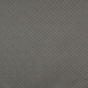 6771 Pewter/Metro by Charlotte Fabric