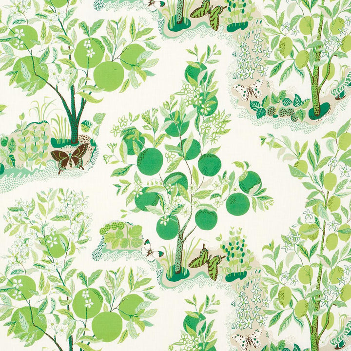 Citrus Garden Indoor/Outdoor Leaf 177332 by Schumacher Fabric Indoor/Outdoor 52.5" - Fabric Carolina -