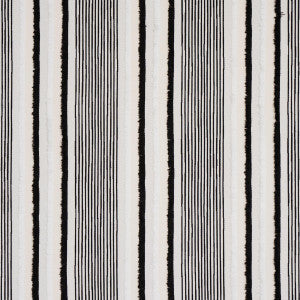 Billy Indoor/Outdoor Black 81110 by Schumacher Fabric