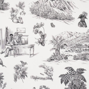 Toussaint Toile Black On Ivory 5013770 by Schumacher Wallpaper