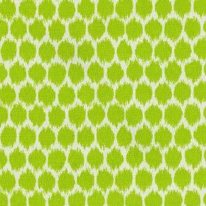 SEEING SPOTS MINT JULEP 677673 by Waverly Sun N Shade Fabric