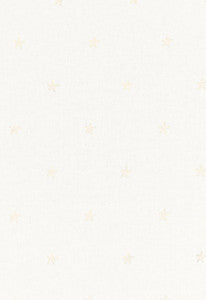 Vincenzo Embroidery Ivory 67811 by Schumacher Fabric
