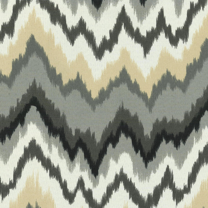Borderline Ebony 678672 by Waverly Sun N Shade Fabric - 100% SPUN Polyester USA 51000 Horizontal: 13.5 and Vertical: 25.25 54 - Fabric Carolina -