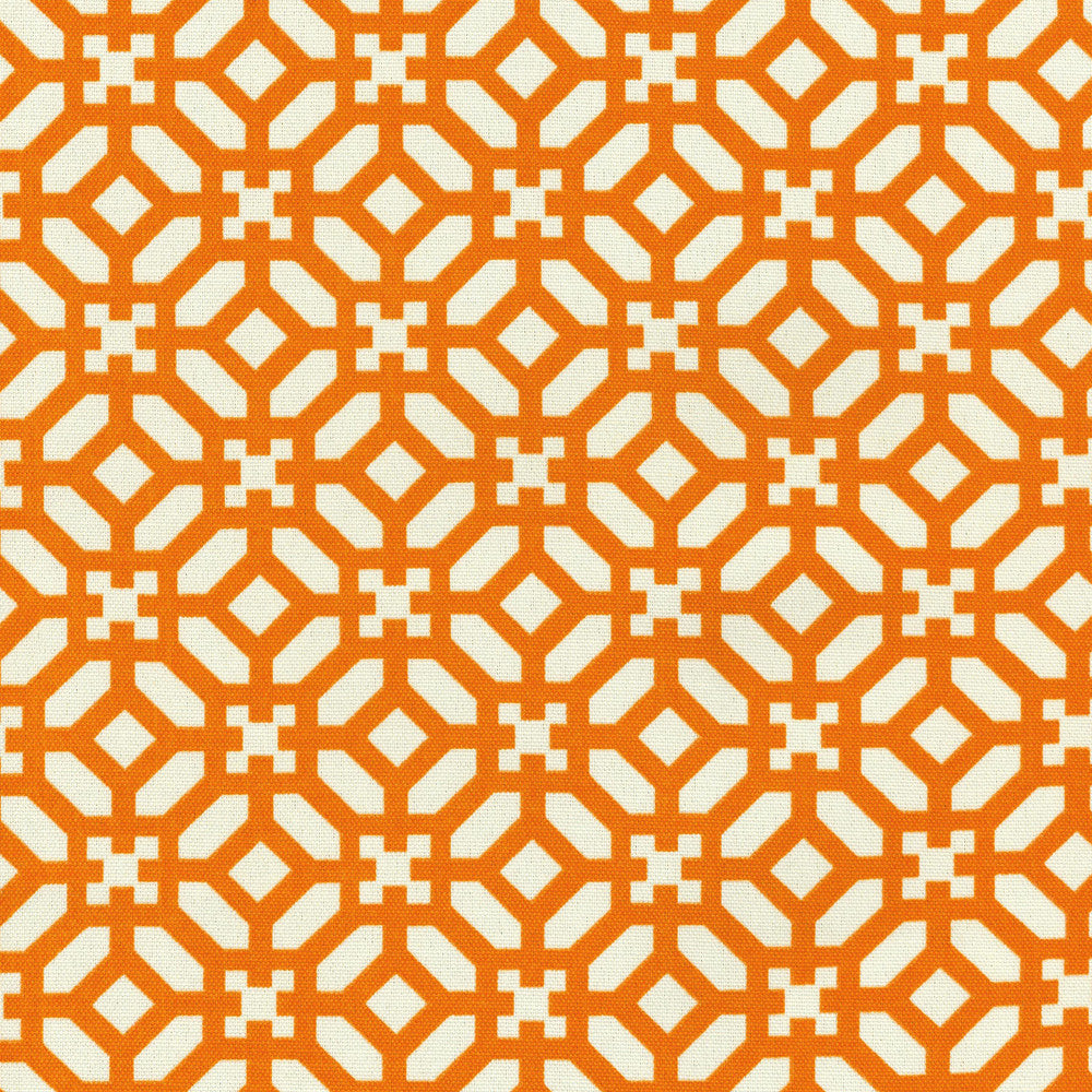 Sns In The Frame Cayenne 678684 by Waverly Fabric SNS N' SHADE JUNE 2015 100% Spun Polyester U.S.A. Wyzenbeek 51,000 Horizontal: 1.20" and Vertical: 2.40" 54" - Fabric Carolina -