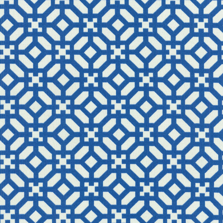 Sns In The Frame Sapphire 678685 by Waverly Fabric - 100% Spun Polyester U.S.A. 51000 Horizontal: 1.2 and Vertical: 2.4 54 - Fabric Carolina -