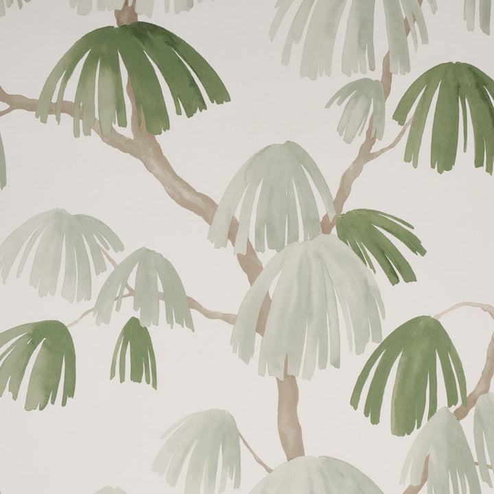 Weeping Pine Sage 5008332 by Schumacher Wallpaper David Kaihoi 54.0" - Fabric Carolina -