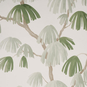 Weeping Pine Sage 5008332 by Schumacher Wallpaper