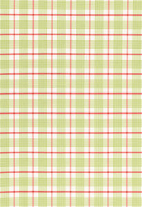 St. Lucia Plaid Lime 68020 by Schumacher Fabric