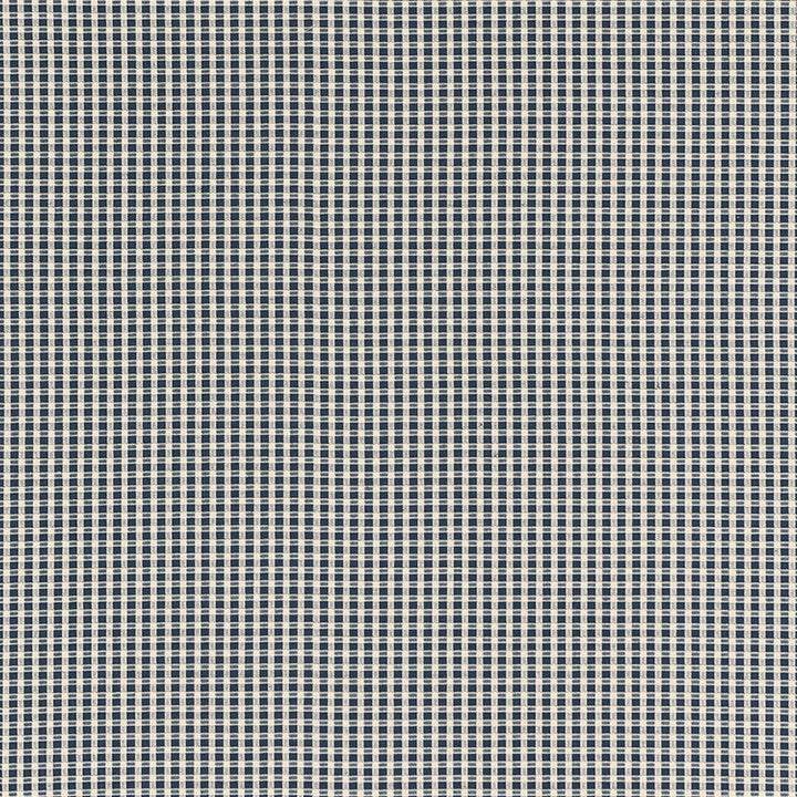 Aruba Check Navy 68040 by Schumacher Fabric CALYPSO PLAIDS & CHECKS See Sample INDIA HEAVY DUTY </p><p>Repeat: Horizontal: 3/8" (1CM) and Vertical: 3/8" (1CM) 53" WIDE (135CM) - Fabric Carolina -