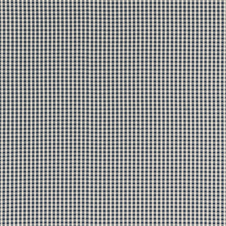 Aruba Check Navy 68040 by Schumacher Designer Fabric CALYPSO PLAIDS & CHECKS See Sample INDIA HEAVY DUTY </p><p>Repeat: Horizontal: 3/8" (1CM) and Vertical: 3/8" (1CM) 53" WIDE (135CM) - Swanky Fabrics -