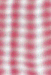 Aruba Check Azalea 68044 by Schumacher Fabric