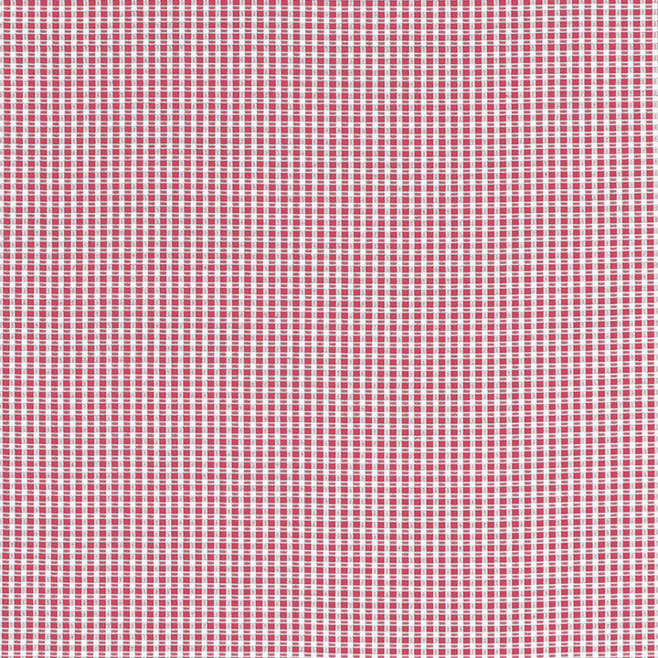 Aruba Check Azalea 68044 by Schumacher Fabric CALYPSO PLAIDS & CHECKS See Sample INDIA HEAVY DUTY </p><p>Repeat: Horizontal: 3/8" (1CM) and Vertical: 3/8" (1CM) 53" WIDE (135CM) - Fabric Carolina -