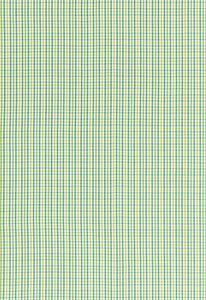 Bahama Check Lagoon 68050 by Schumacher Fabric