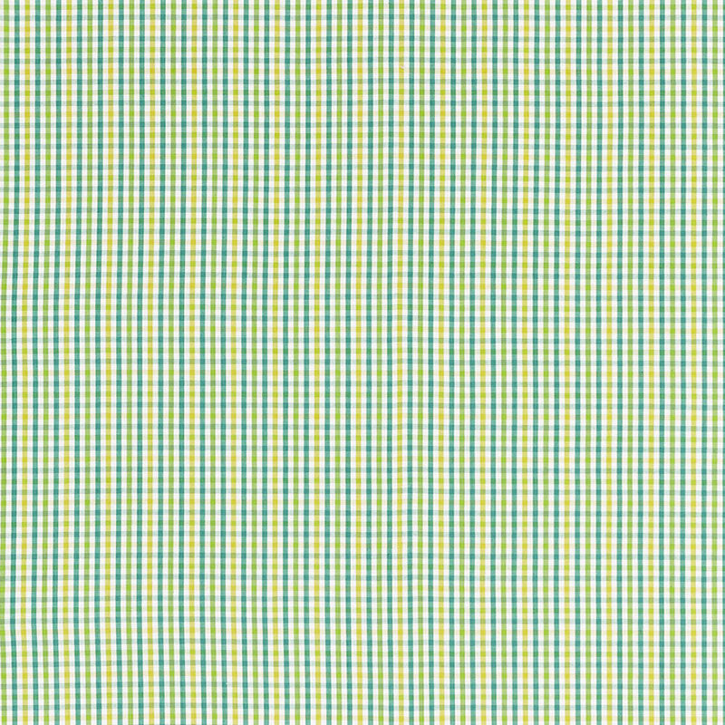 Bahama Check Lagoon 68050 by Schumacher Fabric CALYPSO PLAIDS & CHECKS See Sample INDIA MEDIUM DUTY </p><p>Repeat: Horizontal: 1 3/8" (3CM) and Vertical: 1 3/8" (3CM) 54 1/4" WIDE (138CM) - Fabric Carolina -
