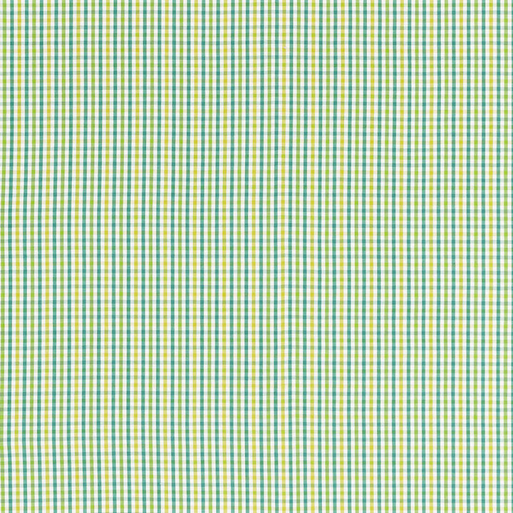 Bahama Check Lagoon 68050 by Schumacher Fabric CALYPSO PLAIDS & CHECKS COTTON 100% INDIA MARTINDALE 10,000 </p><p>Repeat: Horizontal: 1 3/8" (3CM) and Vertical: 1 3/8" (3CM) 54.25 - Fabric Carolina -