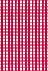 Bermuda Check Azalea 68062 by Schumacher Fabric