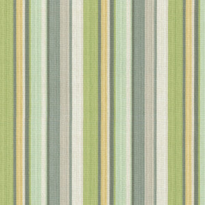 Draw The Line SPRING 680691 by Waverly Fabric