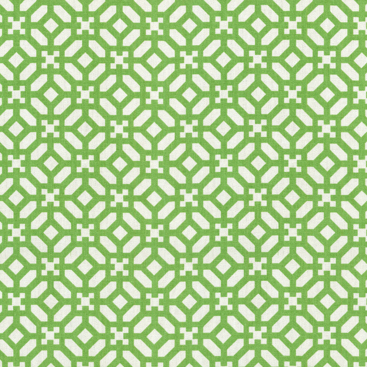 In The Frame Kelly 680703 by Waverly Fabric - 100% COTTON USA 51000 Horizontal: 2.5 and Vertical: 2.5 54 - Fabric Carolina -