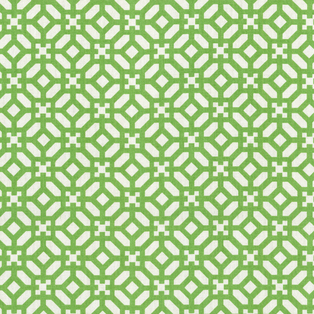 In The Frame Kelly 680703 by Waverly Fabric - 100% COTTON USA 51000 Horizontal: 2.5 and Vertical: 2.5 54 - Fabric Carolina -