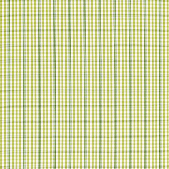Cozumel Plaid Lime 68101 by Schumacher Fabric Schumacher Fabric Cozumel Plaid Lime 68101Fabric COTTON 100% INDIA </p><p>Repeat: H: HORZ. 2 1/8" (5CM) , V: VERT. 2 1/8" (5CM) 54.5 - Fabric Carolina -