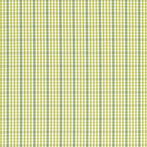 Cozumel Plaid Lime 68101 by Schumacher Fabric