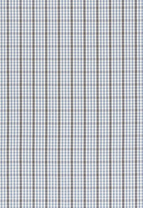 Cozumel Plaid Cornflower 68102 by Schumacher Fabric