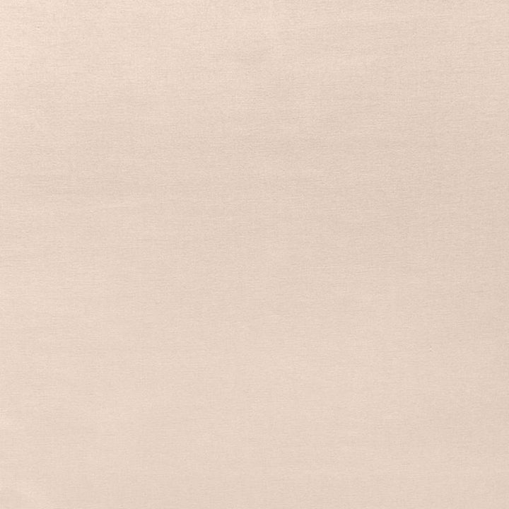 Sophia Velvet Putty 68117 by Schumacher Fabric SOPHIA VELVET COTTON 61% MODAL VISCOSE 39% NETHERLANDS WYZENBEEK 20,000 </p><p>Repeat: Horizontal: and Vertical: 55 - Fabric Carolina -