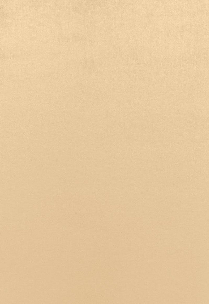 Sophia Velvet Candlelight 68121 by Schumacher Fabric Sophia-Velvet 61% Cotton, 39% Modal Wyzenbeek 20,000 Horizontal: - and Vertical: - 55 - Fabric Carolina -