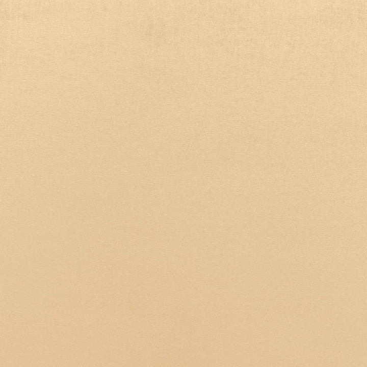 Sophia Velvet Candlelight 68121 by Schumacher Fabric SOPHIA VELVET COTTON 61% MODAL VISCOSE 39% NETHERLANDS WYZENBEEK 20,000 </p><p>Repeat: Horizontal: and Vertical: 55 - Fabric Carolina -