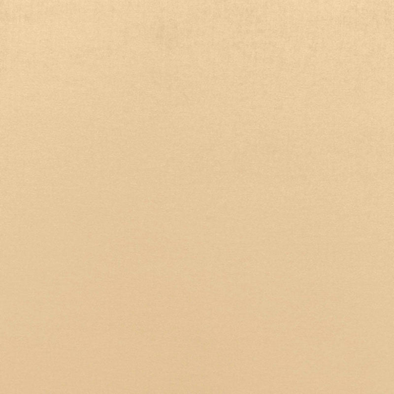 Sophia Velvet Candlelight 68121 by Schumacher Fabric Schumacher Fabric Sophia Velvet Candlelight 68121Fabric COTTON 61% NETHERLANDS </p><p>Repeat: H: , V: 55 - Fabric Carolina -