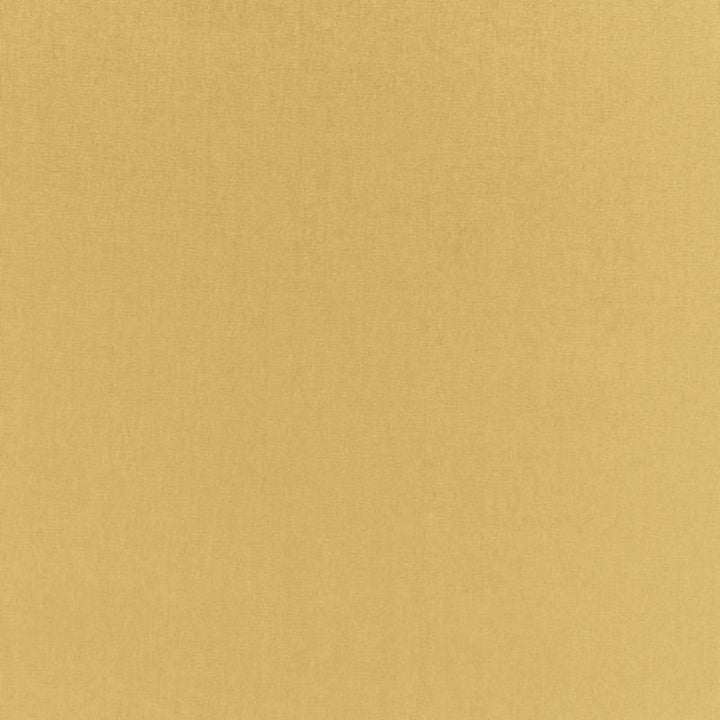 Sophia Velvet Sauterne 68122 by Schumacher Fabric SOPHIA VELVET COTTON 61% MODAL VISCOSE 39% NETHERLANDS WYZENBEEK 20,000 </p><p>Repeat: Horizontal: and Vertical: 55 - Fabric Carolina -