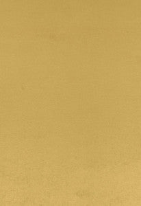 Sophia Velvet Chartreuse 68123 by Schumacher Fabric