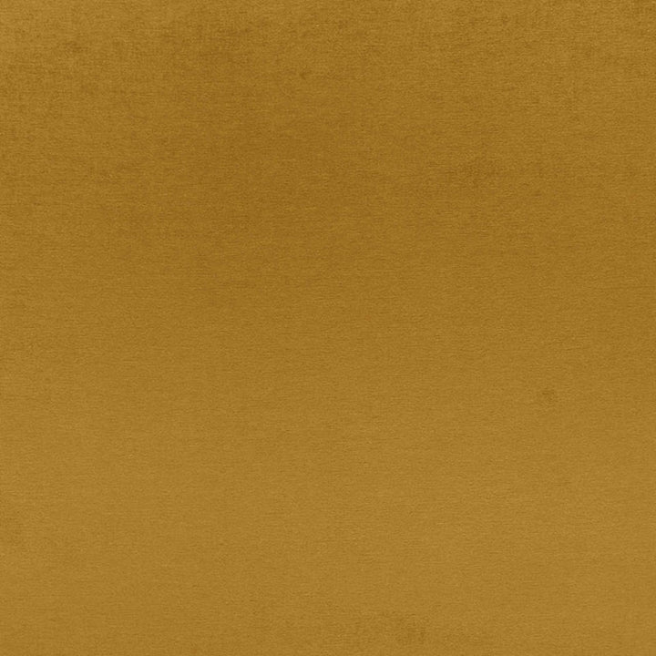 Sophia Velvet Brass 68124 by Schumacher Fabric SOPHIA VELVET See Sample NETHERLANDS HEAVY DUTY </p><p>Repeat: Horizontal: - and Vertical: - 55" WIDE (140CM) - Fabric Carolina -