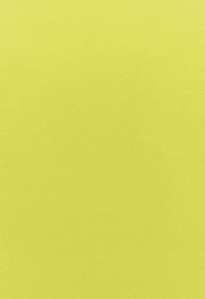 Sophia Velvet Lime 68128 by Schumacher Fabric Sophia-Velvet 61% Cotton, 39% Modal Wyzenbeek 20,000 Horizontal: - and Vertical: - 55 - Fabric Carolina -