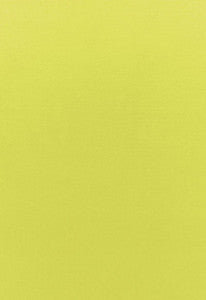 Sophia Velvet Lime 68128 by Schumacher Fabric