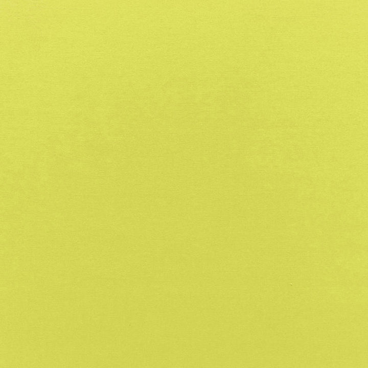 Sophia Velvet Lime 68128 by Schumacher Fabric SOPHIA VELVET COTTON 61% MODAL VISCOSE 39% NETHERLANDS WYZENBEEK 20,000 </p><p>Repeat: Horizontal: and Vertical: 55 - Fabric Carolina -