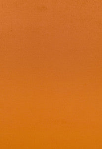 Sophia Velvet Valencia 68132 by Schumacher Fabric