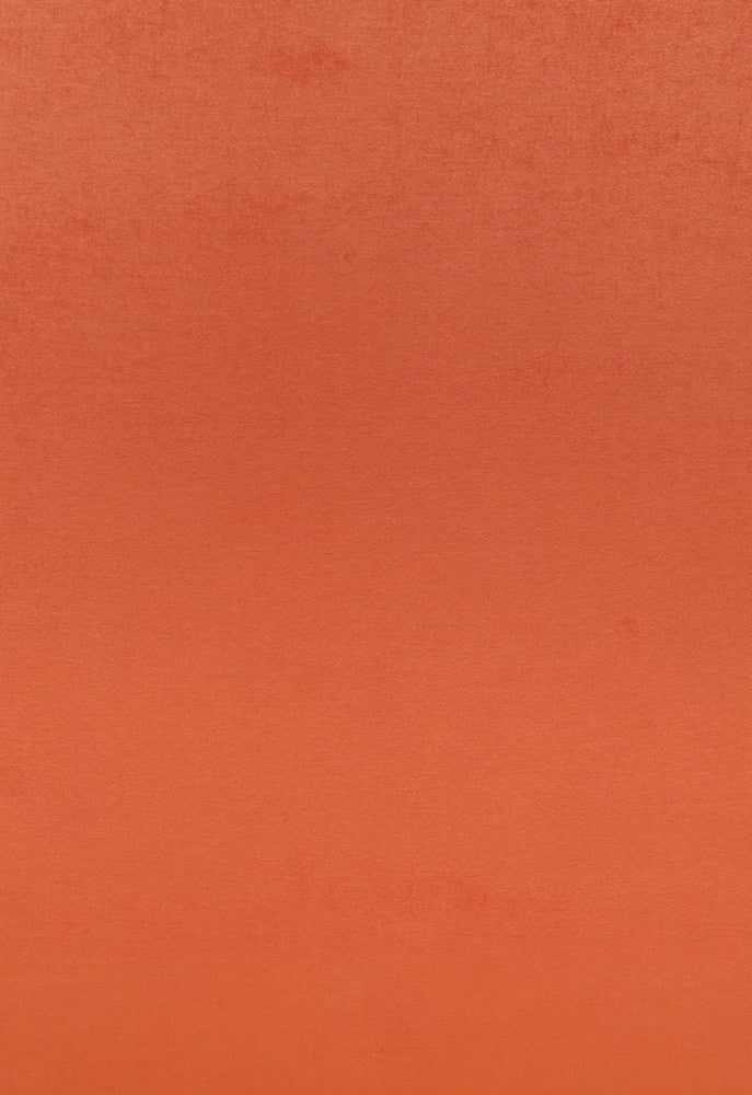 Sophia Velvet Papaya 68134 by Schumacher Fabric Sophia-Velvet 61% Cotton, 39% Modal Wyzenbeek 20,000 Horizontal: - and Vertical: - 55 - Fabric Carolina -