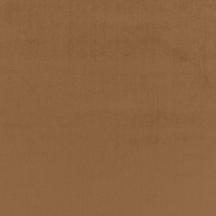 Sophia Velvet Camel 68139 by Schumacher Fabric SOPHIA VELVET COTTON 61% MODAL VISCOSE 39% NETHERLANDS WYZENBEEK 20,000 </p><p>Repeat: Horizontal: and Vertical: 55 - Fabric Carolina -