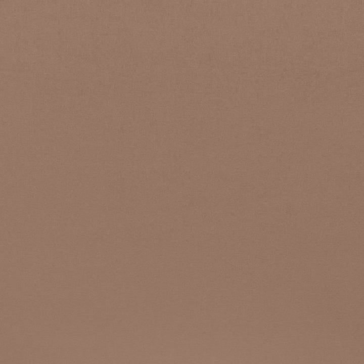 Sophia Velvet Moleskin 68140 by Schumacher Fabric SOPHIA VELVET COTTON 61% MODAL VISCOSE 39% NETHERLANDS WYZENBEEK 20,000 </p><p>Repeat: Horizontal: and Vertical: 55 - Fabric Carolina -