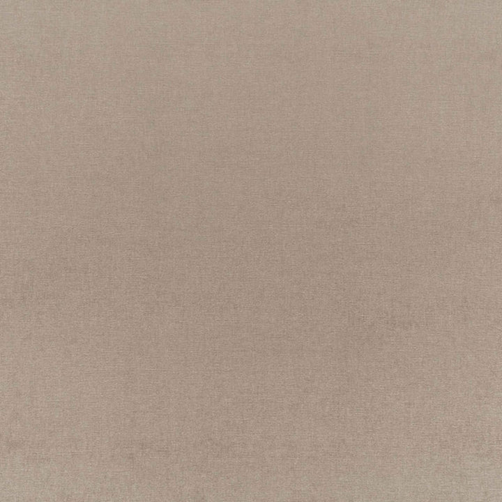 Sophia Velvet Taupe 68158 by Schumacher Fabric SOPHIA VELVET See Sample NETHERLANDS HEAVY DUTY </p><p>Repeat: Horizontal: - and Vertical: - 55" WIDE (140CM) - Fabric Carolina -