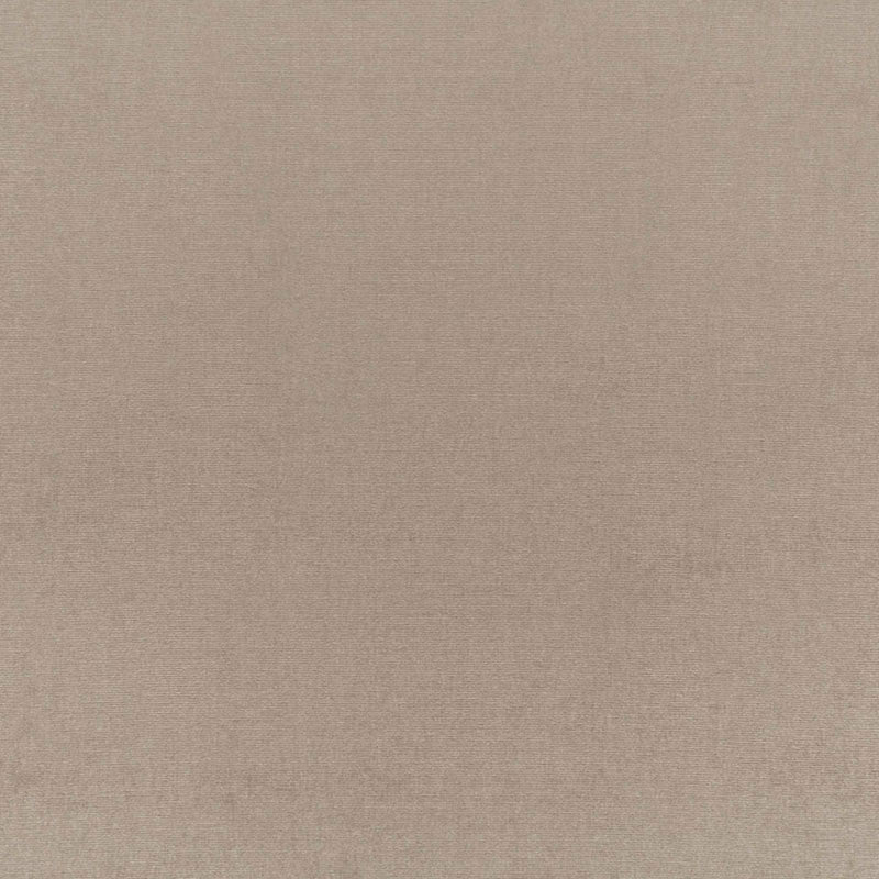 Sophia Velvet Taupe 68158 by Schumacher Fabric SOPHIA VELVET COTTON 61% MODAL VISCOSE 39% NETHERLANDS WYZENBEEK 20,000 </p><p>Repeat: Horizontal: and Vertical: 55 - Fabric Carolina -