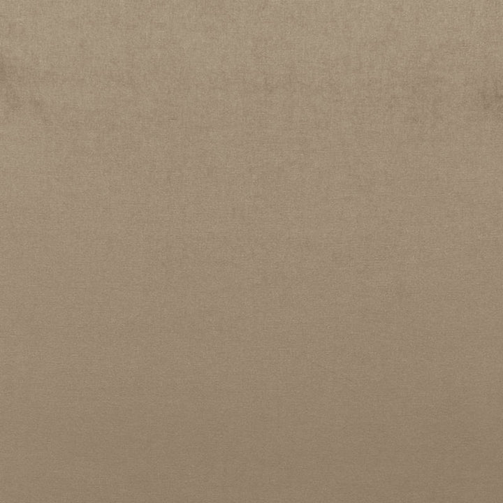 Sophia Velvet Mushroom 68161 by Schumacher Fabric SOPHIA VELVET COTTON 61% MODAL VISCOSE 39% NETHERLANDS WYZENBEEK 20,000 </p><p>Repeat: Horizontal: and Vertical: 55 - Fabric Carolina -