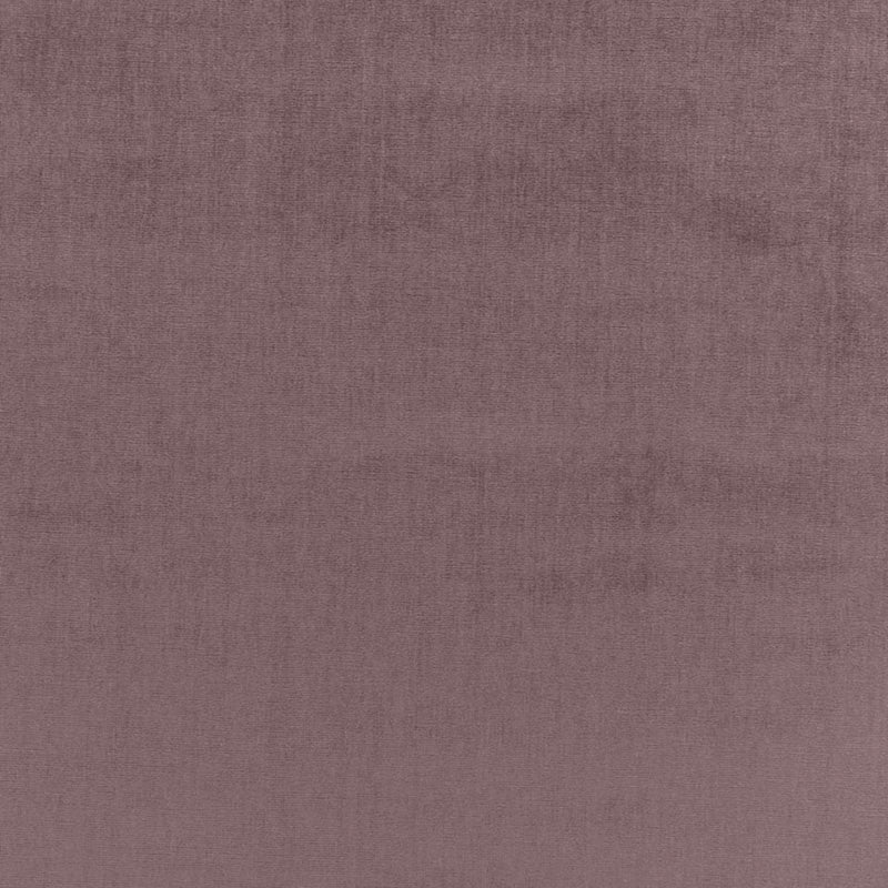 Sophia Velvet French Lilac 68167 by Schumacher Fabric SOPHIA VELVET COTTON 61% MODAL VISCOSE 39% NETHERLANDS WYZENBEEK 20,000 </p><p>Repeat: Horizontal: and Vertical: 55 - Fabric Carolina -